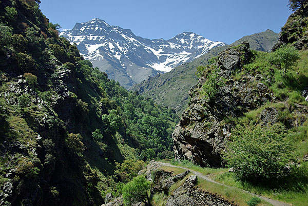 Foto der Vereda de la Estralle, einem Wanderweg in der Sierra Nevada. Im Hintergrund: Alcazaba und Mulhacén.