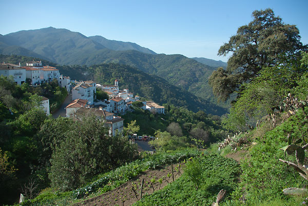 Blick auf Genalguacil, Andalusien