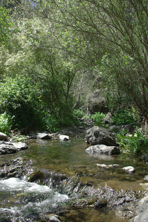Foto des Río Monardilla, Andalusien