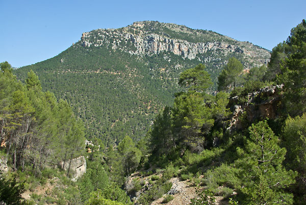 Blick auf den Cerro Miller, Sierra de Segura