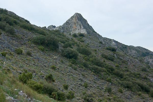 Blick auf den Pico de Castillejos in der Sierra de Canucha, Andalusien