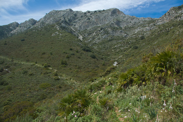 Blick auf die Cuchillos in der Sierra de Canucha, Andalusien