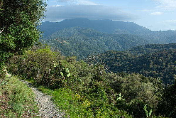 Foto des Wanderweges zwischen Prado de la Escribana und Benarrabá