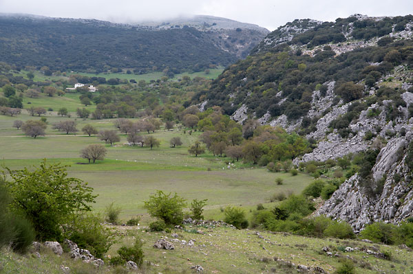 Blick in das Karsttal La Nava vom Beginn der Wanderung "Die Weiden von Cabra", Andalusien