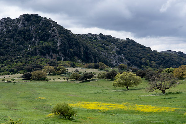 Foto des Karsttales La Fuenseca am Wanderweg "Die Weiden von Cabra", Andalusien