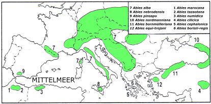 Zeichnung der Verbreitung der Tannenwälder im Mittelmeerraum
