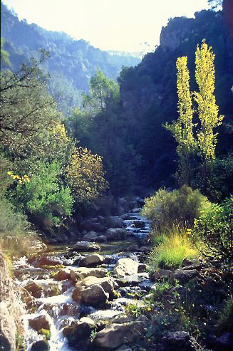 Foto des Río Borosa im Naturpark Sierras de Cazorla, Segura y Las Villas
