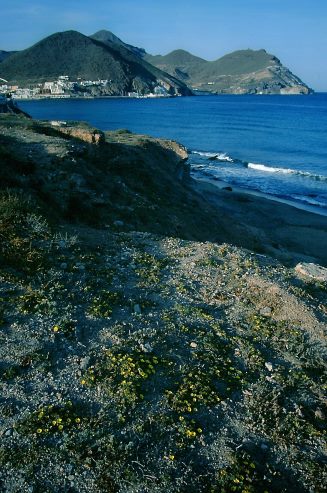 Cabo de Gata: Blick auf die Bucht von San José