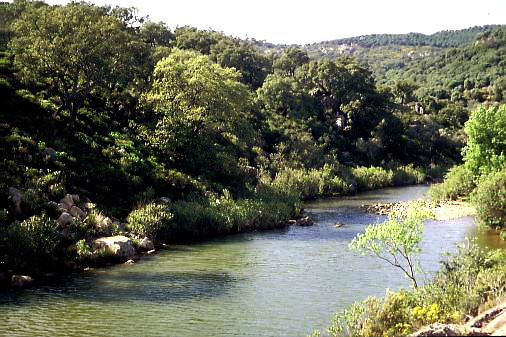 Foto des Río Hozgarganta bei Jimena de la Frontera, Andalusien
