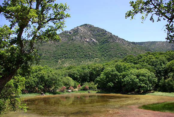 Foto des Picacho im Naturpark Los Alcornocales, Andalusien