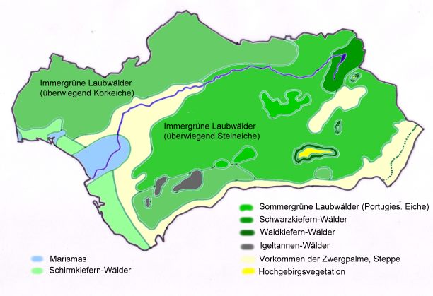 Karte der potenziell natürlichen Vegetation Andalusiens