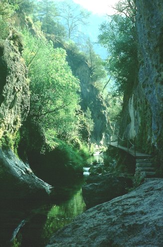 Río Borosa, Sierra de Cazorla, Andalusien